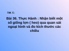 Bài giảng Công nghệ 7 - Bài 36: Thực Hành Nhận biết một số giống lợn (heo) qua quan sát ngoại hình và đo kích thước các chiều