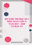 Bộ 10 đề thi học kì 2 môn Toán lớp 11 năm 2019-2020 có đáp án