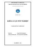 Khóa luận tốt nghiệp Kế toán - Kiểm toán: Hoàn thiện công tác kế toán vốn bằng tiền tại công ty trách nhiệm hữu hạn thương mại VIC