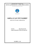 Khóa luận tốt nghiệp Việt Nam học: Tiềm năng phát triển du lịch văn hóa tại khu du lịch Đặng Thùy Trâm – Quảng Ngãi