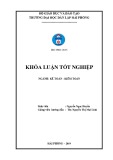 Khóa luận tốt nghiệp Kế toán - Kiểm toán: Hoàn thiện công tác kế toán hàng hóa tại Công ty TNHH cơ khí thủy Đức Thịnh