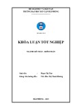 Khóa luận tốt nghiệp Kế toán – Kiểm toán: Hoàn thiện công tác kế toán doanh thu, chi phí và xác định kết quả kinh doanh tại Công ty TNHH thương mại Ngọc Hiếu