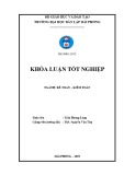 Khóa luận tốt nghiệp Kế toán - Kiểm toán: Hoàn thiện công tác kế toán doanh thu, chi phí và xác định kết quả kinh doanh tại Công ty trách nhiệm hữu hạn thương mại Tân Anh