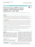 Novel homozygous BMP9 nonsense mutation causes pulmonary arterial hypertension: A case report