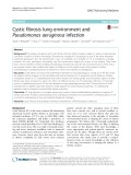 Cystic fibrosis lung environment and Pseudomonas aeruginosa infection