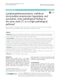 Lymphangioleiomyomatosis, multifocal micronodular pneumocyte hyperplasia, and sarcoidosis: More pathological findings in the same chest CT, or a single pathological pathway?