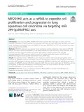 MIR205HG acts as a ceRNA to expedite cell proliferation and progression in lung squamous cell carcinoma via targeting miR299-3p/MAP3K2 axis