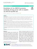 Knockdown of circ-ABCB10 promotes sensitivity of lung cancer cells to cisplatin via miR-556-3p/AK4 axis