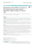 Mycobacteria infect different cell types in the human lung and cause species dependent cellular changes in infected cells