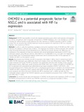 CHCHD2 is a potential prognostic factor for NSCLC and is associated with HIF-1a expression