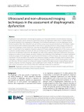 Ultrasound and non-ultrasound imaging techniques in the assessment of diaphragmatic dysfunction