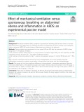Effect of mechanical ventilation versus spontaneous breathing on abdominal edema and inflammation in ARDS: An experimental porcine model