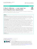 A diver’s dilemma – a case report on bronchopulmonary sequestration
