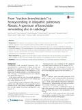 From “traction bronchiectasis” to honeycombing in idiopathic pulmonary fibrosis: A spectrum of bronchiolar remodeling also in radiology?