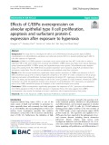Effects of C/EBPα overexpression on alveolar epithelial type II cell proliferation, apoptosis and surfactant protein-C expression after exposure to hyperoxia