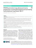 PFKFB4 promotes lung adenocarcinoma progression via phosphorylating and activating transcriptional coactivator SRC-2