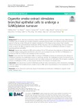 Cigarette smoke extract stimulates bronchial epithelial cells to undergo a SUMOylation turnover