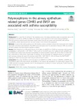 Polymorphisms in the airway epithelium related genes CDHR3 and EMSY are associated with asthma susceptibility
