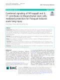 Combined signaling of NF-kappaB and IL17 contributes to Mesenchymal stem cellsmediated protection for Paraquat-induced acute lung injury