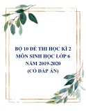 Bộ 10 đề thi học kì 2 môn Sinh học lớp 6 năm 2019-2020 (Có đáp án)