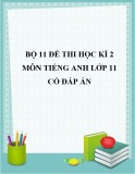 Bộ 11 đề thi học kì 2 môn Tiếng Anh lớp 11 năm 2019-2020 có đáp án