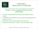 Lecture Biology (6e): Chapter 17 - Campbell, Reece