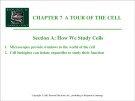 Lecture Biology (6e): Chapter 7 - Campbell, Reece