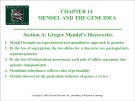 Lecture Biology (6e): Chapter 14 - Campbell, Reece