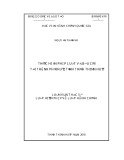 Luận văn Thạc sĩ Luật Hiến Pháp và Luật Hành Chính: Thực hiện pháp luật về bầu cử tại thành phố Huế, tỉnh Thừa Thiên Huế