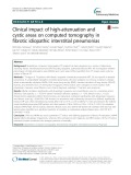 Clinical impact of high-attenuation and cystic areas on computed tomography in fibrotic idiopathic interstitial pneumonias