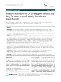 Relationship between CT air trapping criteria and lung function in small airway impairment quantification