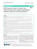 EGFR mutation status in Tunisian nonsmall-cell lung cancer patients evaluated by mutation-specific immunohistochemistry