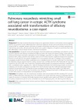 Pulmonary nocardiosis mimicking small cell lung cancer in ectopic ACTH syndrome associated with transformation of olfactory neuroblastoma: A case report