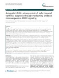 Astragalin inhibits airway eotaxin-1 induction and epithelial apoptosis through modulating oxidative stress-responsive MAPK signaling