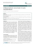 Unilateral phrenic nerve lesion in Lyme neuroborreliosis