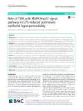 Role of TLR4-p38 MAPK-Hsp27 signal pathway in LPS-induced pulmonary epithelial hyperpermeability