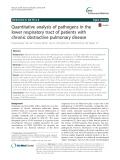Quantitative analysis of pathogens in the lower respiratory tract of patients with chronic obstructive pulmonary disease
