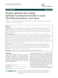 Alveolar epithelial cells undergo epithelial-mesenchymal transition in acute interstitial pneumonia: A case report