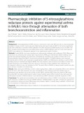 Pharmacologic inhibition of S-nitrosoglutathione reductase protects against experimental asthma in BALB/c mice through attenuation of both bronchoconstriction and inflammation
