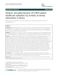 Patterns and determinants of COPD-related healthcare utilization by severity of airway obstruction in Korea