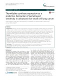Thymidylate synthase expression as a predictive biomarker of pemetrexed sensitivity in advanced non-small cell lung cancer