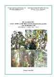 Dự án bảo tồn loài - sinh cảnh thủy tùng (Glyptostrobus Pensilis) tại tỉnh Đăk Lăk giai đoạn 5 năm: 2011–2015