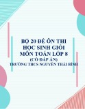 Bộ 20 đề ôn thi học sinh giỏi môn Toán lớp 8 có đáp án - Trường THCS Nguyễn Thái Bình