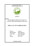 Khóa luận tốt nghiệp: Đánh giá hiệu quả kinh tế sản xuất dứa tại xã Bản Lầu, huyện Mường Khương, tỉnh Lào Cai