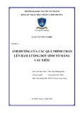 Luận văn tốt nghiệp Công nghệ thực phẩm: Nghiên cứu ảnh hưởng của các quá trình chần đến hàm lượng của bột sinh tố mãng cầu xiêm