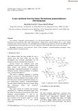 A new xanthone from the lichen Parmotrema praesorediosum (Parmeliaceae)