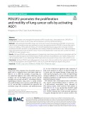 POU2F2 promotes the proliferation and motility of lung cancer cells by activating AGO1