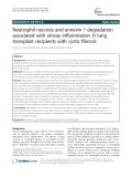 Neutrophil necrosis and annexin 1 degradation associated with airway inflammation in lung transplant recipients with cystic fibrosis