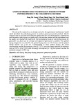 Study of production technology for pennywort powder product by cold-drying method