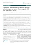 Osteogenic differentiation of amniotic epithelial cells: Synergism of pulsed electromagnetic field and biochemical stimuli